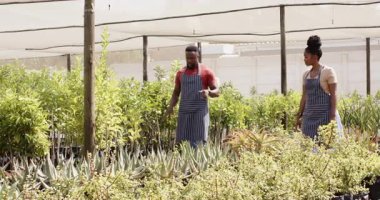 Bahçe merkezi takım çalışması. Yeşillikler arasında serada bitki bakımını tartışan iki kişi. Bahçıvanlık, işbirliği, bahçıvanlık, bitkiler, tartışma, çocuk odası