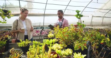 Çeşitli bahçıvanlar seradaki bitkilerle ilgileniyorlar, bakım tekniklerini ve büyümeyi tartışıyorlar. Bahçıvanlık, bahçıvanlık, tarım, ekip çalışması, kreş, tarım.