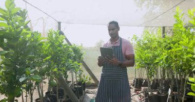 Bahçıvan, seradaki bitkileri inceleyerek sağlıklı bir büyüme sağlıyor. Bahçecilik, tarım, botanikçi, teknoloji, tarım, teftiş