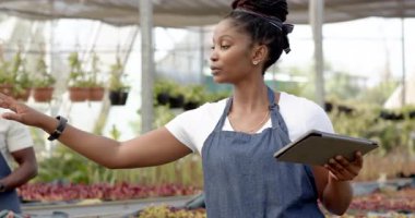 Afro-Amerikalı kadın serada tablet kullanıyor, fabrika envanterini yönetiyor. Tarım, tarım, bahçıvanlık, teknoloji, dijital, iş