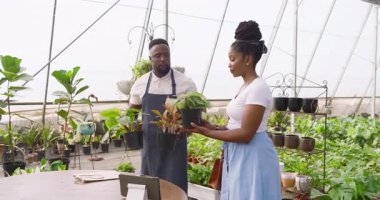 Afro-Amerikalı adam ve müşteri serada bitki bakımını tartışıyor, saksı bitkileri tutuyorlar. Bahçe işleri, tarım, bahçıvanlık, takım çalışması, sürdürülebilirlik, ekoloji
