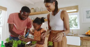 Mutfakta bahçe işleri, çeşitli aileler evde kaliteli zaman ve kahkahalar paylaşıyorlar. Bağlanma, mutluluk, kapalı alan, sebzeler, ekme