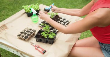 Ev bahçesine fidanlar eken bir kadın, aletler ve sprey şişeyle. Bahçıvanlık, bahçıvanlık, doğa, bitkiler, tarım