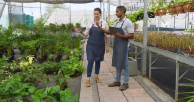 Bahçe çalışanları serada yürürken bitki bakımını tartışıyor. Bahçecilik, takım çalışması, botanikler, sürdürülebilirlik, bitkiler, tarım