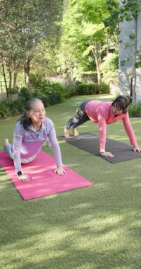 Dikey video: Kadınlar bahçede paspaslar üzerinde yoga yapıyor, denge ve esnekliğe odaklanıyor. egzersiz, açık hava, meditasyon, sağlık, zindelik, esneme