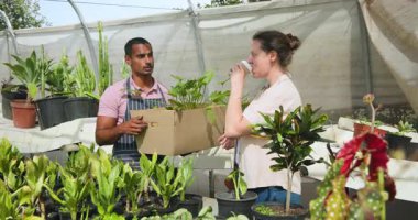 Bahçe meraklıları seradaki bitkileri seçiyor, seçenekleri ve seçenekleri tartışıyor. Bahçecilik, seçim, tartışma, doğa, çevre