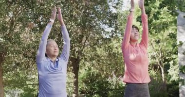 Çinli anne ve kız gülümsüyor, ağaçtan önce yoga yapıyor bahçede akıllı tiplerle poz veriyor. Sağlık, uyum, canlılık, arkadaşlık, açık hava, spor, yaşam tarzı.