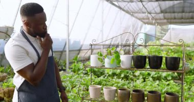 Seradaki Afrikalı Amerikalı adam bitki bakımı ve büyüme stratejilerini düşünüyor. Bahçıvanlık, bahçıvanlık, planlama, strateji, tarım, sürdürülebilirlik