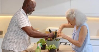 Çeşitli üst düzey çiftler yemek pişirmek için toplandıktan sonra mutfaktaki ekinlere fesleğen tohumları dikiyorlar. Bahçıvanlık, tarım, çevre dostu, yaşam tarzı, evcil, anlamlı, canlı