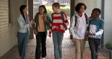 Çeşitli etnik çeşitlilikteki öğrenciler okulda birlikte yürüyor, gülüyor ve sohbet ediyorlar. Çeşitlilik, arkadaşlık, birliktelik, eğitim, çok kültürlü, gençlik