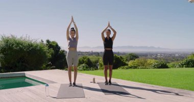 Çeşitli bayan arkadaşlar nefeslerini tutarak kollarını kaldırıyor denge için yoga minderlerinde ağaç pozisyonuna geçiyorlar. Zindelik, sağlık, farkındalık, dinginlik, doğa, açık hava, ahenk