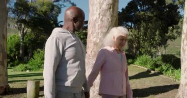 Yaşlı çift, akıllı telefonları kontrol ederken çimenli park yolunda ağaç gövdesinin yanından el ele yürüyorlar. Romantizm, arkadaşlık, açık hava, dinginlik, rahatlık, doğa, yaşam tarzı