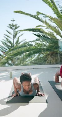 Dikey video: Kobra 'dan dağa akmakta olan çeşitli arkadaşlar balkon paspasları üzerine kurulmak için poz veriyorlar. Sağlık, esneklik, meditasyon, açık hava, uyum, denge, dikey video