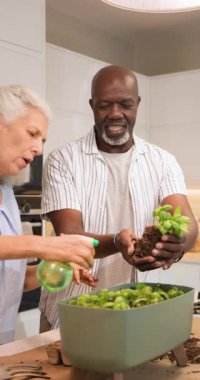 Mutfakta bahçeyle uğraşan farklı çiftler ekicilere fidanlar ekiyor ve bitkileri ilaçlayıcı ile sisliyor. Bağlantı, arkadaşlık, beslenme, etkinlik, modern, canlı, dikey video