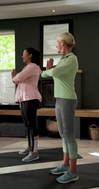 Dikey video: Kıdemli bayan egzersiz partnerleri evde paspaslarda dua pozu vermeye başladılar. Farkındalık, sağIık, sükunet, uyum, yoldaşlık, rahatlama, dikey video