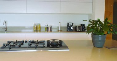 Kamera mutfak adasını tarıyor. Mutfak tezgahı, lavabo, aletler ve meyve tasarımı görünüyor. Modern, minimalist, gösterişli, konukseverlik, aşçılık, yaşam tarzı, iç mekan