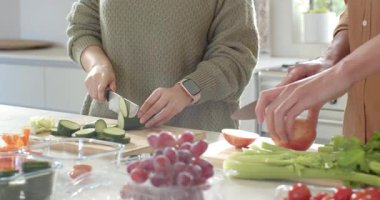 Çift mutfak tezgahında salatalık ve elma dilimlemeye ve konteynırları doldurmaya başlıyor. Sağlıklı beslenme, yemek hazırlama, taze ürün, modern mutfak, yaşam tarzı, sağlık, takım çalışması.