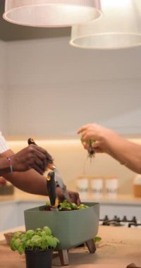 Farklı kıdemli çiftler saksılardan fesleğen toplar, mutfak adası bahçesindeki bitkilere bitki ekerler. Bitki yetiştirme, ev hayatı, yaşam tarzı, minimalist, ev geliştirme, sağlık, dikey video