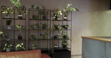 Başlangıçta, kamera geri çekiliyor, rafları itiyor, tezgahı ortaya çıkarıyor, bitkiler sergileniyor. Minimalist, çağdaş, yeşillik, dekor, rahatlama, tarz, fonksiyonel