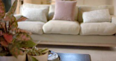 Kamera, saksı bitkilerinden kanepeye, oturma odasındaki pembe minderleri göstermeye odaklanıyor. Dekor, minimalist, rahat, sıcak, yatıştırıcı, zarif, sofistike