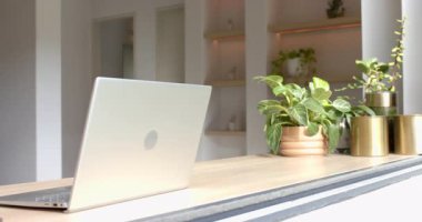Güneş ışığı tezgahından başlayan kamera ev bitkilerinin çalışma alanını göstermek için dizüstü bilgisayardan geçiyor. Bitkiler, yeşillik, ev ofisi, doğal ışık, iç tasarım, biyofilik, modern