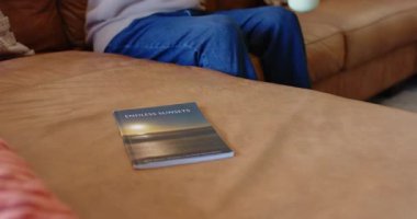 Oturma odasında Sonsuz Günbatımı kitabı okumak, üst düzey Asyalı adamın bardak kapıp kitap okuması, fotokopi çekmesi. Rahat, rahat, rahat, yaşam tarzı, modern, boş zaman, ev