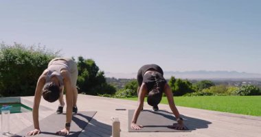 Güneşli bir sabah, çeşitli bayan arkadaşları kobra yaparak tahta tırmanışı ve minderlerin üzerinde gülümsemeye motive ediyor. Spor, sağlık, açık hava, uyum, canlılık, dinginlik, egzersiz.