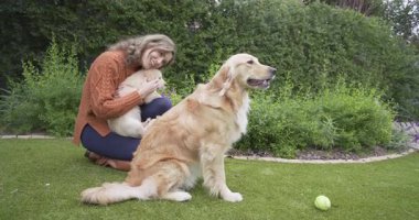 Yavru köpeği kucağa kaldırmak, kadının çimlerde diz çökmesi, av köpeğini okşaması, kaynaşmak için köpek yavrusu koklaması. Şefkat, arkadaşlık, açık hava, yaşam tarzı, gündelik, terbiye, rahat