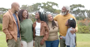 Geniş bir aile çimenli parkta yürüyor kollarını kavuşturuyor, uzun bir adam konuşuyor, diğerleri başını çeviriyor. Aile, birlik, bağlantı, birliktelik, açık hava, boş zaman, doğa.