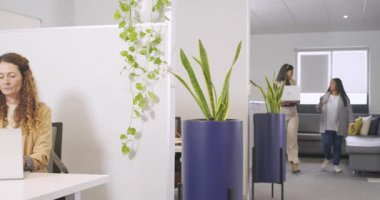 Çeşitli iş arkadaşları dizüstü bilgisayarda yazarak saksıdan tartışıyor sonra da ofisteki kanepeye doğru yürüyor. İşbirliği, takım çalışması, iletişim, modern, profesyonel, enerjik, gündelik