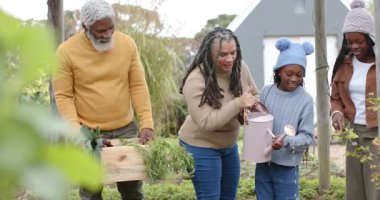 Çeşitli aileler hasat sandıklarını taşıyorlar, pembe sulama tenekelerini deviriyorlar, bahçe yatağında fideleri suluyorlar. Aile, bahçıvanlık, açık hava, doğa, yetiştirme, toplum, köy
