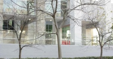 Kamera yukarı ve yana doğru dönükken, ağaç dallarını ön cephede gösterirken, zeminleri gösterirken. Peyzaj, mimari, kentsel, minimalist, çağdaş, doğa, geometrik