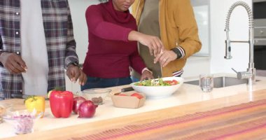 Çeşitli arkadaşlar mutfakta salata hazırlıyor, peynir serpiyor, salata kasesi tutuyor ve soğan ekliyorlar. İşbirliği, aşçılık, tazelik, sağlık, canlı, keyiflilik, modern