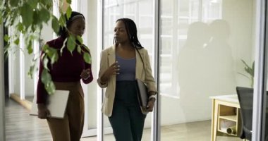 Afro-Amerikalı kadınlar açık çalışma alanına giriyor ellerinde dizüstü bilgisayarlarla yürüyor ve iş planlarını tartışıyorlar. Ofis, işbirliği, modern, profesyonel, yeşillik, iletişim, işyeri