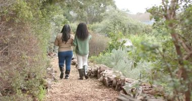 Çeşitli bayan arkadaşlar kollarını kilitliyor, odunların yanından geçiyor, gülüşlerini paylaşıyorlar. Arkadaşlık, doğa, açık hava, eğlence, arkadaşlık, park, uyum.