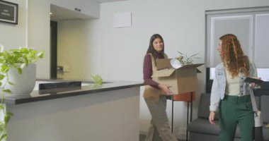 Çalışma masasını kurmak için çeşitli kadın çalışanlar ofise kutu taşıyıp masa lambasını açıyor. İşbirliği, profesyonel, modern, çalışma alanı, yenilik, yeşillik, takım çalışması