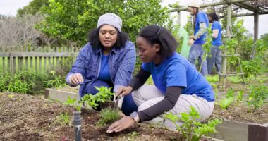 Kadın gönüllüler halk bahçesinde diz çöküp bitki dikerken erkekler enkazı topluyor. Topluluk, işbirliği, doğal, çevre dostu, besleyici, sürdürülebilir, açık hava