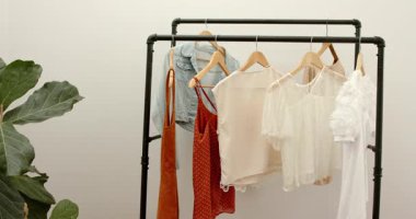 Kamera kayıt yapıyor, sergi için keman yaprağı incir bitkisinin yanındaki rafları gösteriyor. Minimalist, moda, perakende, iç mekan, modern, estetik, aksesuarlar