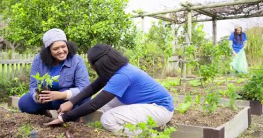 Gönüllü, çeşitli bahçe ekibinin rehberliğinde diz çöküp çukur kazıyorlar fidan dikip yabani otları topluyorlar. Bahçecilik, sürdürülebilirlik, takım çalışması, çevre, açık hava, çevre dostu, toplum
