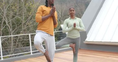 Afrika kökenli Amerikalı erkek ve Hintli kadın çatıda yürüyorlar ve ağaçta dengede duruyorlar. Denge, uyum, farkındalık, sağIık, dinginlik, açık hava, meditasyon