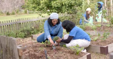 İki gönüllü kadın, halk bahçesinde diz çöküp tohum ekerken erkekler çantaları dolduruyor. Bahçe işleri, takım çalışması, sürdürülebilirlik, çevre dostu, açık hava, canlı, büyüme