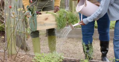 Bahçedeki su bidonundan su döken çiftçi kızı fark eden bir sürü aile var. Bahçe, bahçıvanlık, yetiştirme, çevre dostu, kırsal, açık hava, büyüme