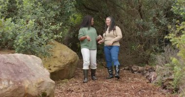 Çeşitli bayan arkadaşlar orman yolunu fark ediyor, yosunlu kayaların yanında duruyor ve odunları kesiyor, sımsıkı sarılıyorlar. Doğa, dostluk, arkadaşlık, açık hava, vahşi doğa, uyum, sükunet.