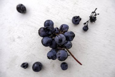 Detail of dry and spoiled fruit, abandoned vineyard