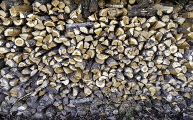 Detail of trees cut to burn and give heat at home, heating