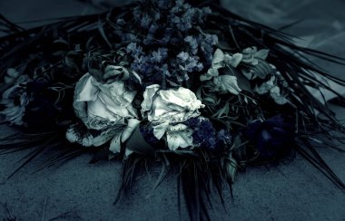Detail of dead and dry aromatic flowers, abandonment