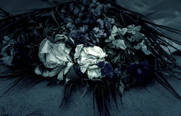 Detalle Flores Aromáticas Secas Muertas Abandono Imagen De Stock