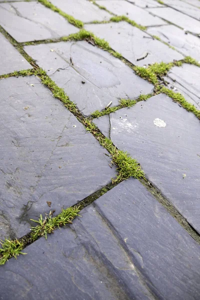 街の歩道 湿度の古い床の詳細 — ストック写真