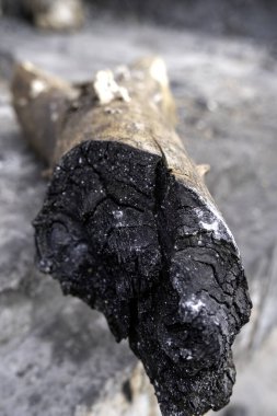 Izgarada yemek pişirmek için yakılacak odunların ayrıntıları.