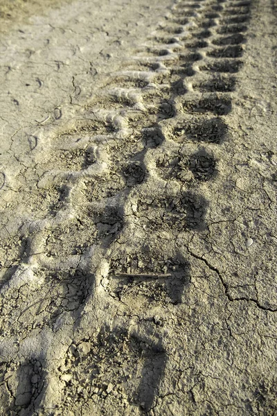 泥土路上越野车车轮的细节 — 图库照片